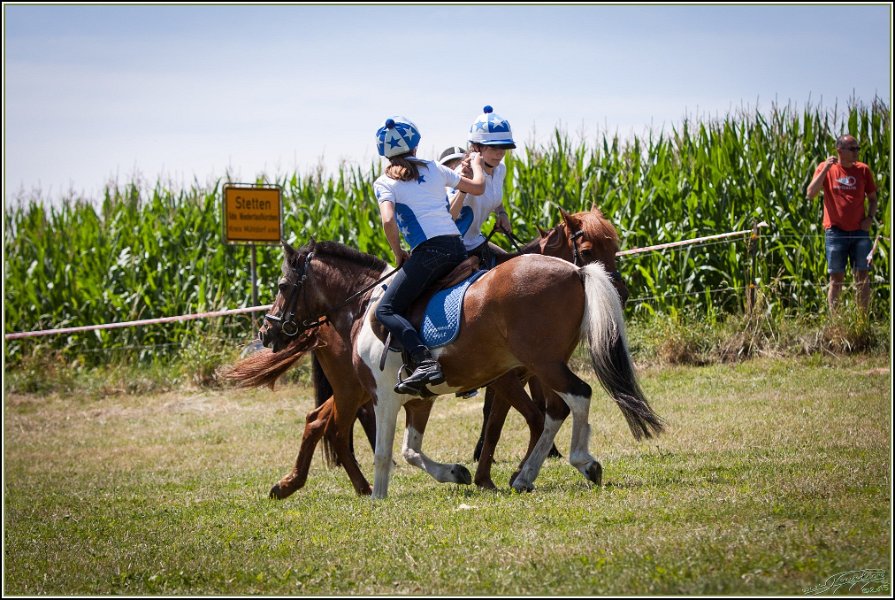 Mounted Games 211